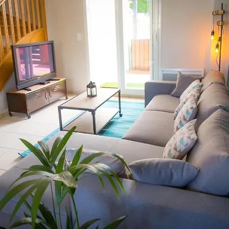 Vintage 1894 & Au Coeur Du Vignoble