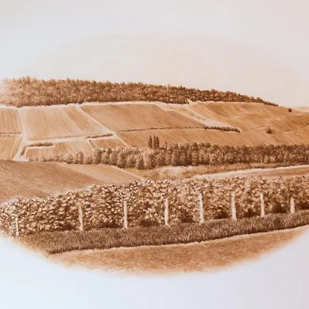 Vintage 1894 & Au Coeur Du Vignoble *